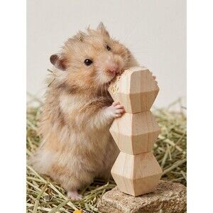 Nate + Jeremiah Bundle Of 4 Small Animal 4.5in Wood Block Chews- Brand New